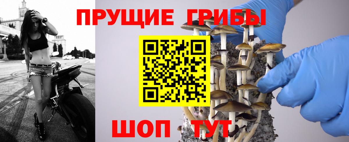 Галлюциногенные грибы мухоморы  Псилоцибиновые грибы Magic Shrooms  Вход с VPN  Магнитогорск 